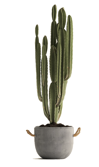 Beige Pot